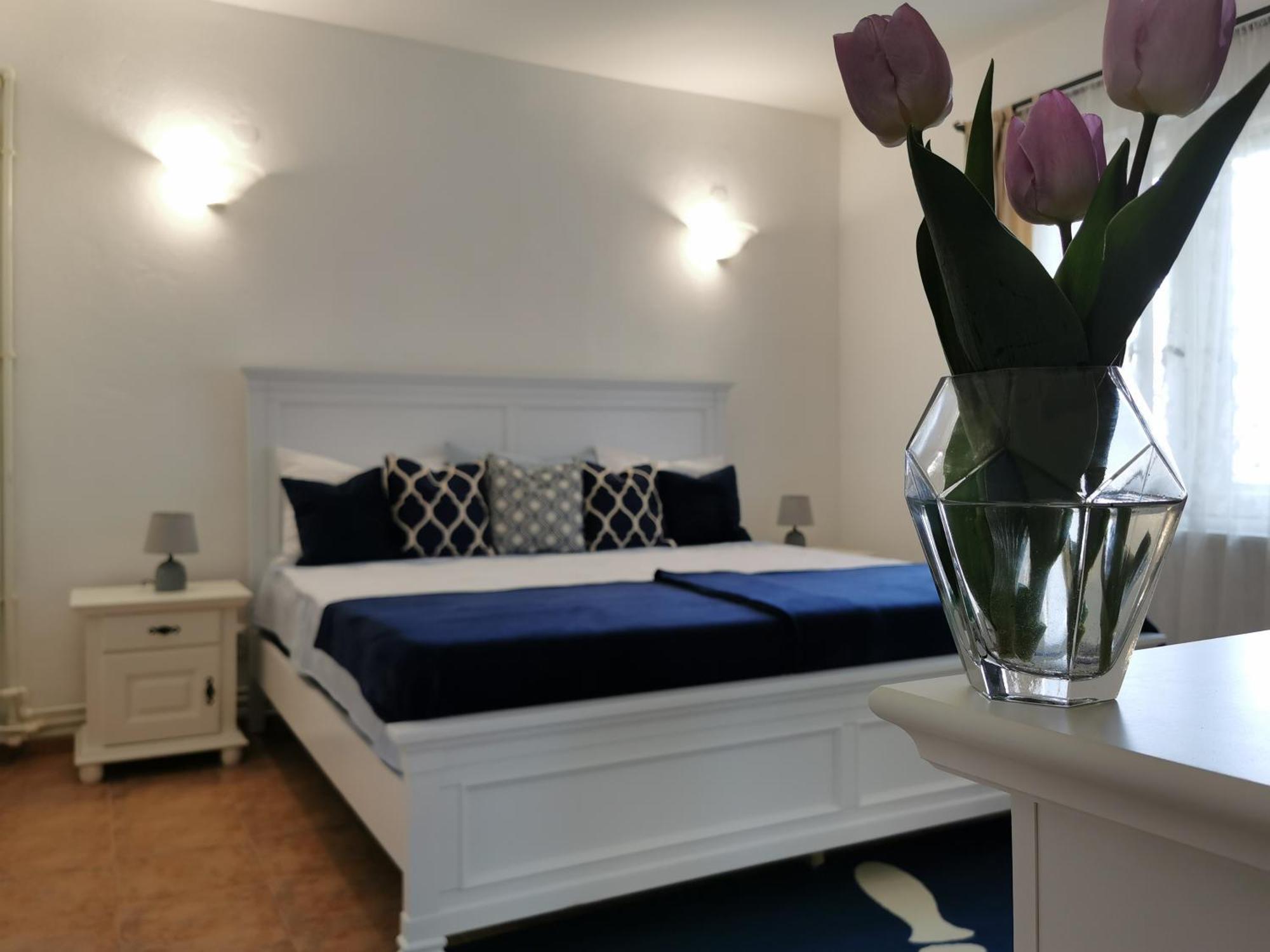 Вилла Casa Olive Костинешти Экстерьер фото